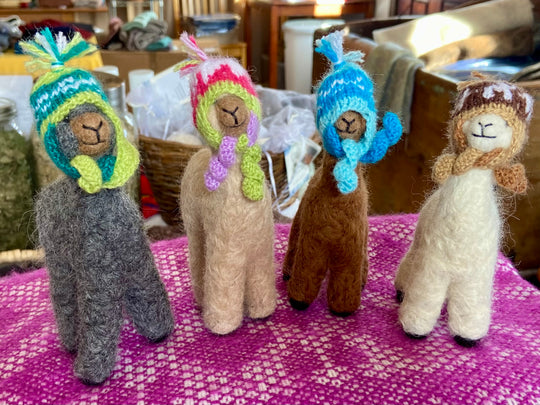 Peruvian Alpacas w/ Beanies