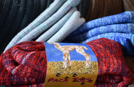 Pink Confetti Alpaca & Silk Yarn – Willow Wind Farm Products